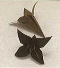 origami